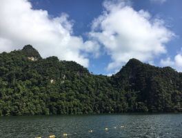 孕妇比较适合去哪里旅游(孕妇比较适合去哪里旅游呢)
