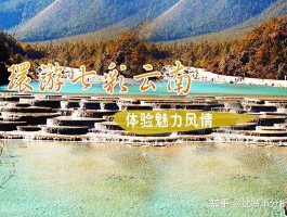 云南国际旅行社(云南国际旅行社客服电话)