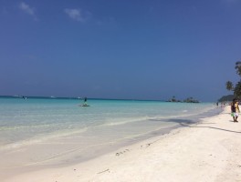 白沙滩(白沙滩潮汐时间表)