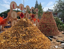 石榴红村(石榴红村采摘攻略)