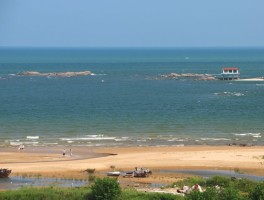 太公岛(太公岛赶海园潮汐表)