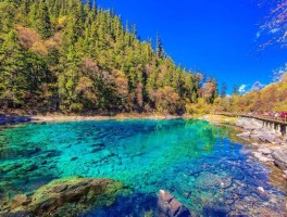 中国最值得去的40个旅行地方有哪些(中国值得旅游的地方有哪些)