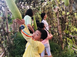 小蜗牛的旅行日记(小蜗牛旅行记作文300字)