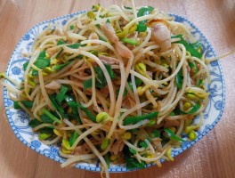 豆芽的做法(怎么发豆芽简单做法视频)