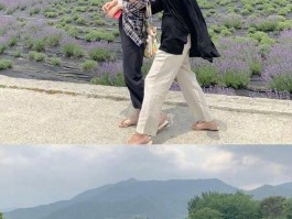 老人旅游拍照姿势的摆法搞笑说说(老人旅游拍照姿势的摆法搞笑说说句子)