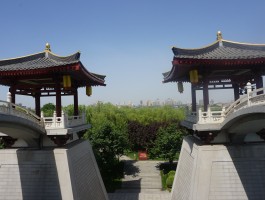 大唐芙蓉园门票(大唐芙蓉园门票需多少元)