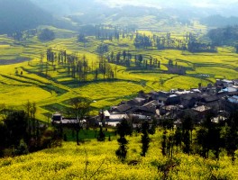 云南罗平旅游日记(云南罗平旅游攻略图片)