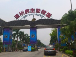 深圳野生动物园(深圳野生动物园地图)