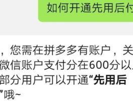 先用后付如果没钱了怎么办(先用后付如果没钱了怎么办微信信誉分会扣多少)