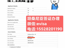 2023年来华旅游签证(2023年来华旅游签证怎么办理)