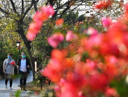 2月底适合去哪里旅游(2月底适合去哪里旅游国内)