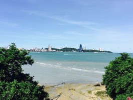芭提雅旅游攻略(芭提雅旅游攻略大全)