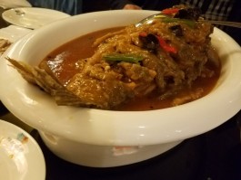 来郑州旅游一定要吃的5大美食(来郑州旅游一定要吃的5大美食是什么)