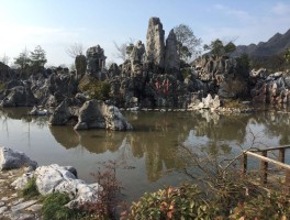 千岛湖石林(千岛湖石林镇)
