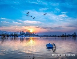 新疆有自驾出国游的旅行社吗(新疆游哪个旅行社做的比较好?)