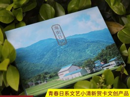 小镇旅游日记(小镇旅游日记300字)