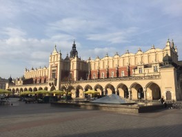 波兰旅游(波兰旅游签证好办吗)