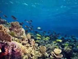 即将消失的十大旅游景点(世界即将消失的10个著名景点)