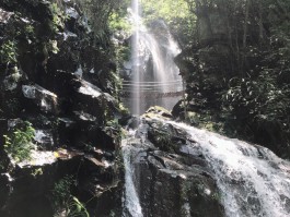 安吉旅游攻略(安吉旅游攻略自由行攻略3天二日游)