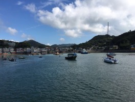 南丫岛(南丫岛美食)