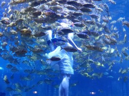 北海海底世界(北海海底世界门票多少钱一张)