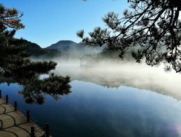 庐山旅游(庐山旅游攻略五日游)