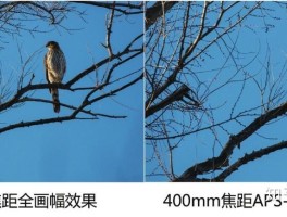 包含相机的全画幅、残幅、M43是什么意思，不同画幅在成像上有什么区别？的词条