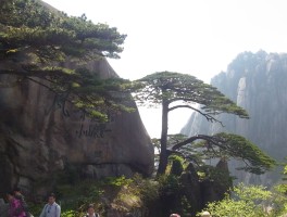 记录旅游景色(旅游记录怎么写)