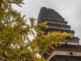西安端午节去哪里旅游好(西安端午节适合去哪里游玩)