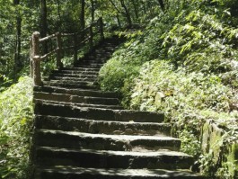 旅游景点台阶拍照技巧和方法图片(旅游景点台阶拍照技巧和方法图片视频)