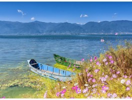 春天推荐大家去哪里旅游(春天推荐大家去哪里旅游呢)
