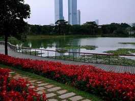 深圳中心公园(深圳中心公园要门票吗)