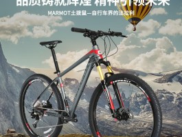 品牌自行车排行榜前十名(品牌自行车排行榜前十名女士)