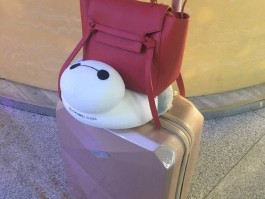 旅行箱拍照技巧图片欣赏(旅行箱拍照技巧图片欣赏视频)