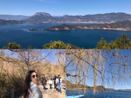 旅游攻略自由行(旅游攻略自由行最佳线路)