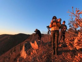 爬山去哪里比较好(太原爬山去哪里比较好)