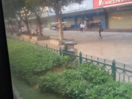 深圳市龙华区邮编(深圳市龙华区邮编号是多少)