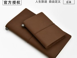 一个旅行者的日记(一个旅行者的日记400字)