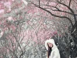 梅花人像摄影技巧(梅花人像摄影技巧有哪些)