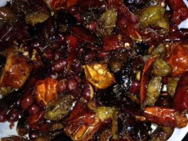 中国各地虫子美食(中国各地虫子美食图片)