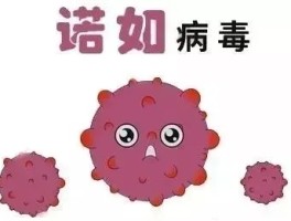 心情防控病毒感染的胃炎旅行的简单介绍