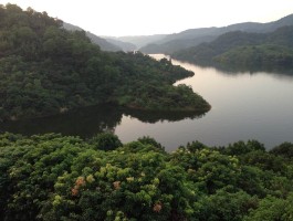 广东秋天去哪里旅游比较好(广东秋天去哪里旅游比较好呢)