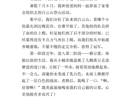 杭州旅游日记300字(杭州旅游记作文300字)