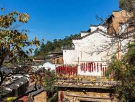 江西婺源旅游日记(婺源旅游作文1000字)