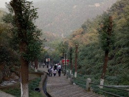 绍兴香炉峰(绍兴香炉峰爬上去多久)