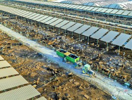肉牛养殖基地(洮南市鸿城富硒肉牛养殖基地)