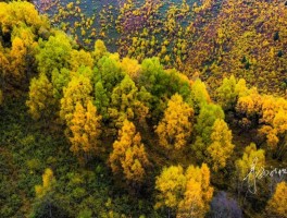 像极了说走就走的旅行(我想说走就走的旅行句子)
