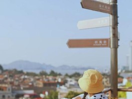 一个人旅行的超实用拍照技巧(一个人旅行的超实用拍照技巧是什么)