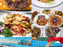 美食旅游活动(美食旅游节策划方案)
