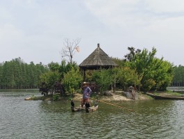 仙桃梦里水乡旅游记录(仙桃梦里水乡旅游景点介绍)
